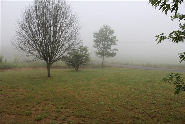 556 Governor Hall Road Castalian Springs, TN 37031 - Photo 3 of 20 Gallery Image 3