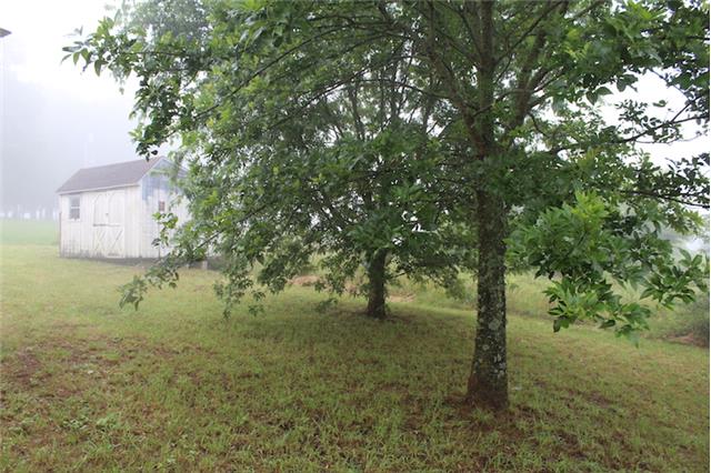 556 Governor Hall Road Castalian Springs, TN 37031 - Photo 8 of 20 Gallery Image 8