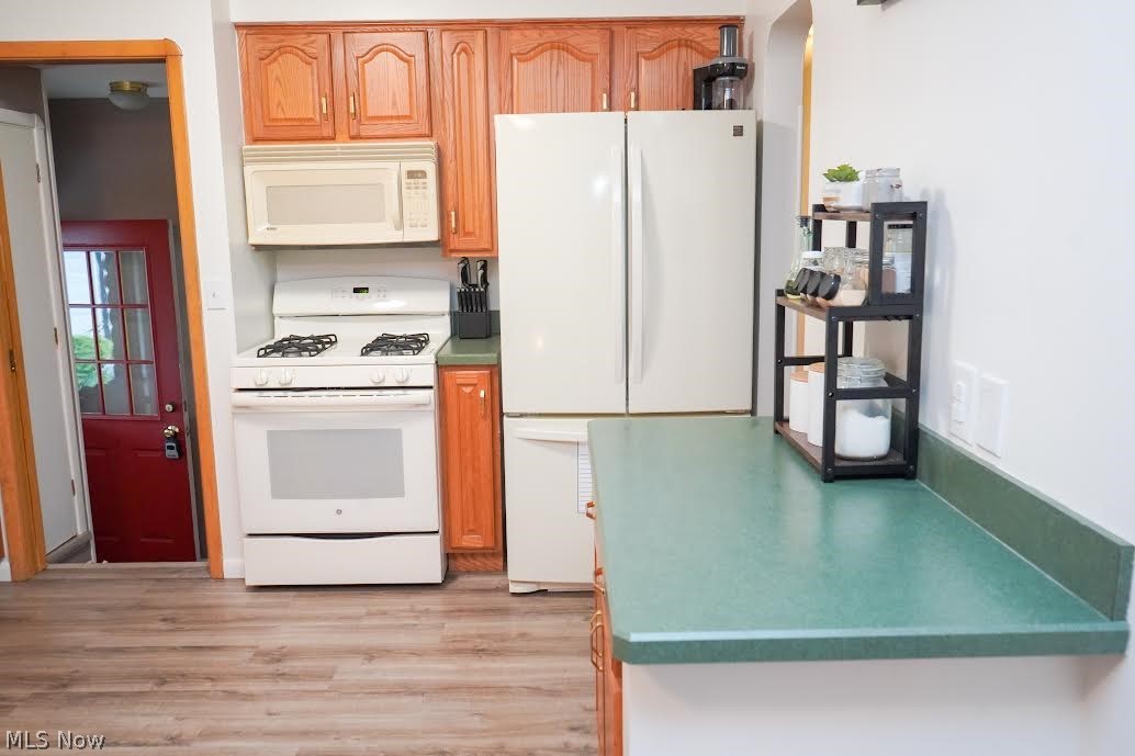 7299 Maplewood Road Parma, OH 44130 - Photo 4 of 30 Gallery Image 4