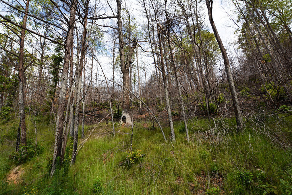 Lot 69 Elm Road Gatlinburg, TN 37738 - Photo 1 of 10 E