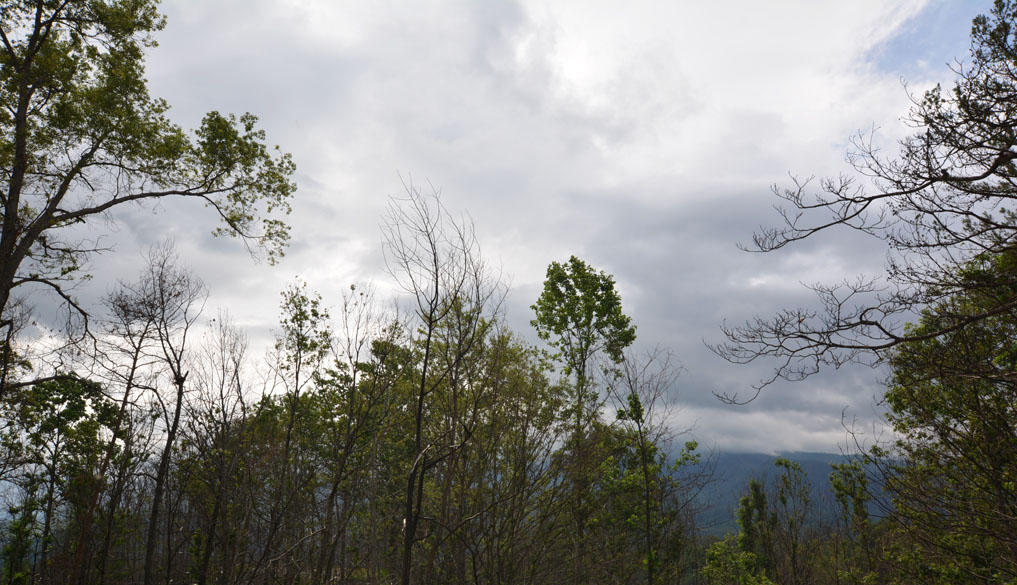 Lot 69 Elm Road Gatlinburg, TN 37738 - Photo 2 of 10 B