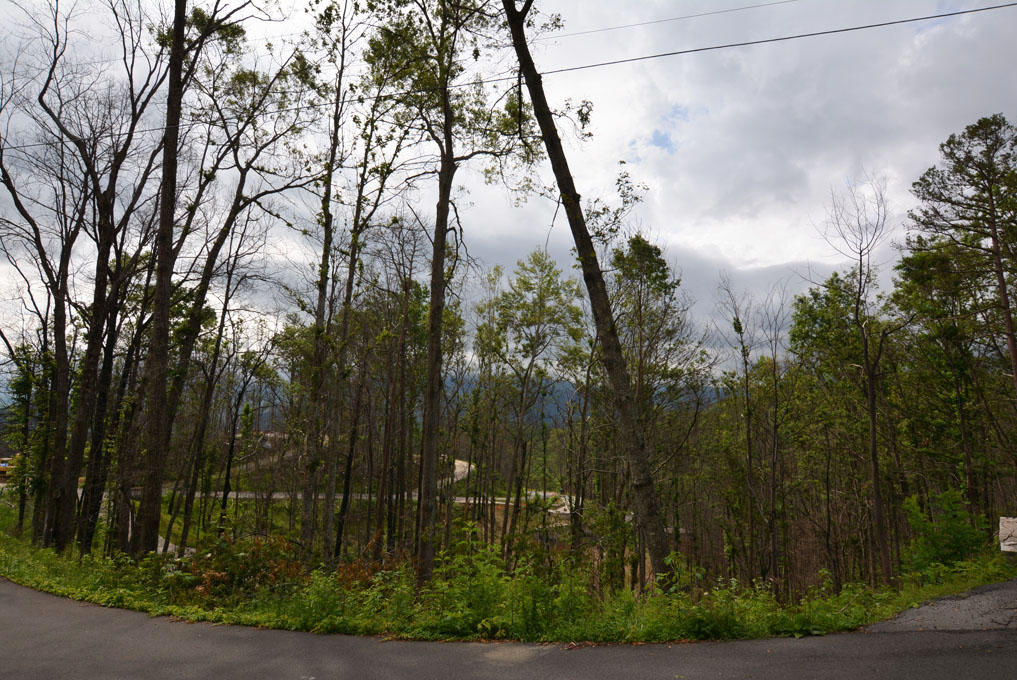 Lot 69 Elm Road Gatlinburg, TN 37738 - Photo 3 of 10 J