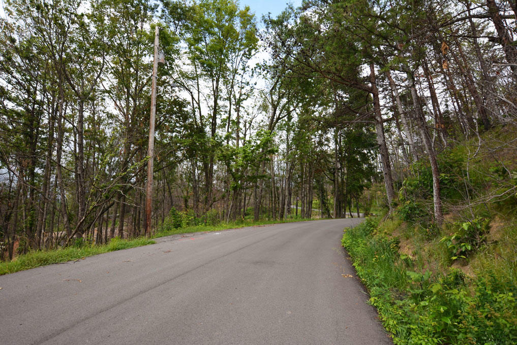Lot 69 Elm Road Gatlinburg, TN 37738 - Photo 10 of 10 I