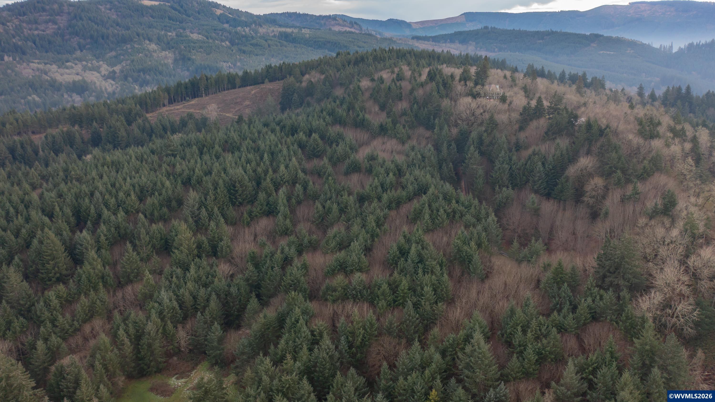 25045 Gap Road Brownsville, OR 97327 - Photo 49 of 49