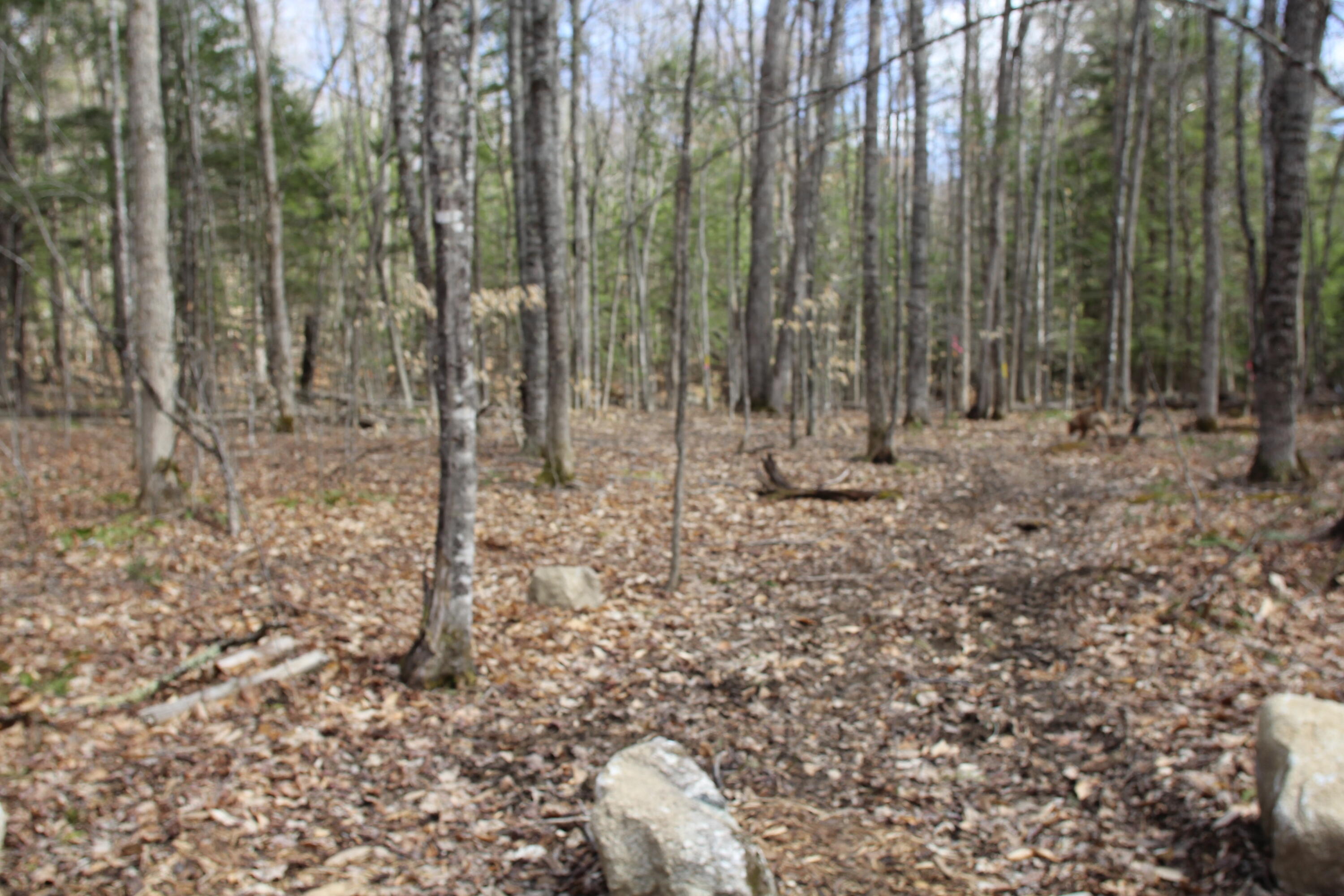 48 Pinnacle Road Canaan, ME 04924 - Photo 13 of 14 IMG_7518