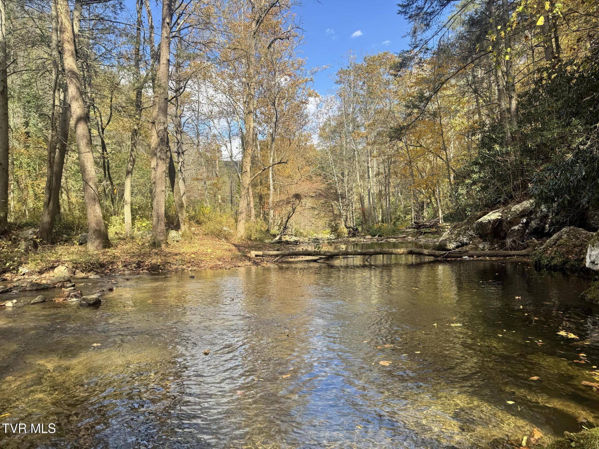 150 Little Branch Road Flag Pond, TN 37657 - Photo 1 of 57 IMG_4757