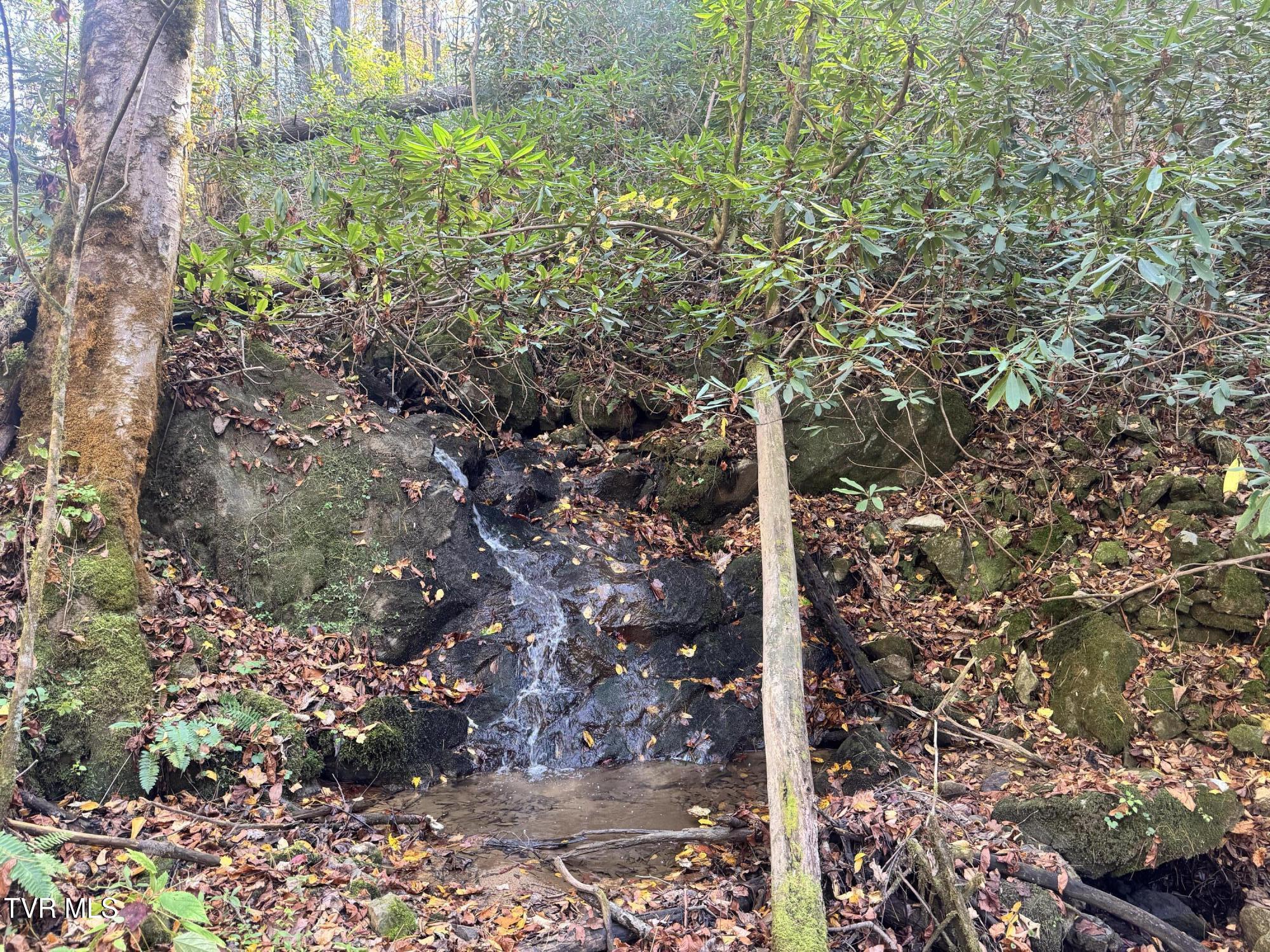 150 Little Branch Road Flag Pond, TN 37657 - Photo 8 of 57 IMG_4791