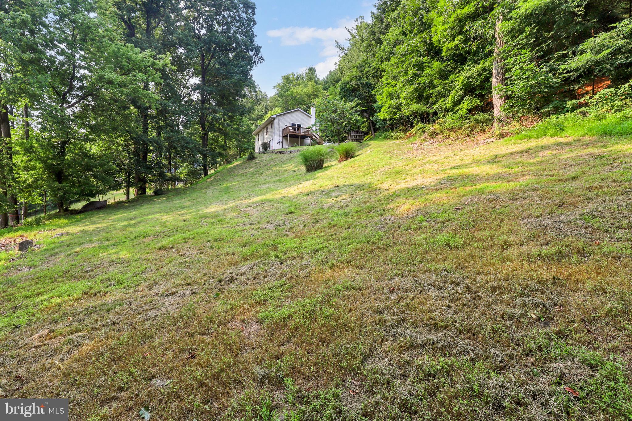 1336 Granny Smith Road Linden, VA 22642 - Photo 39 of 46