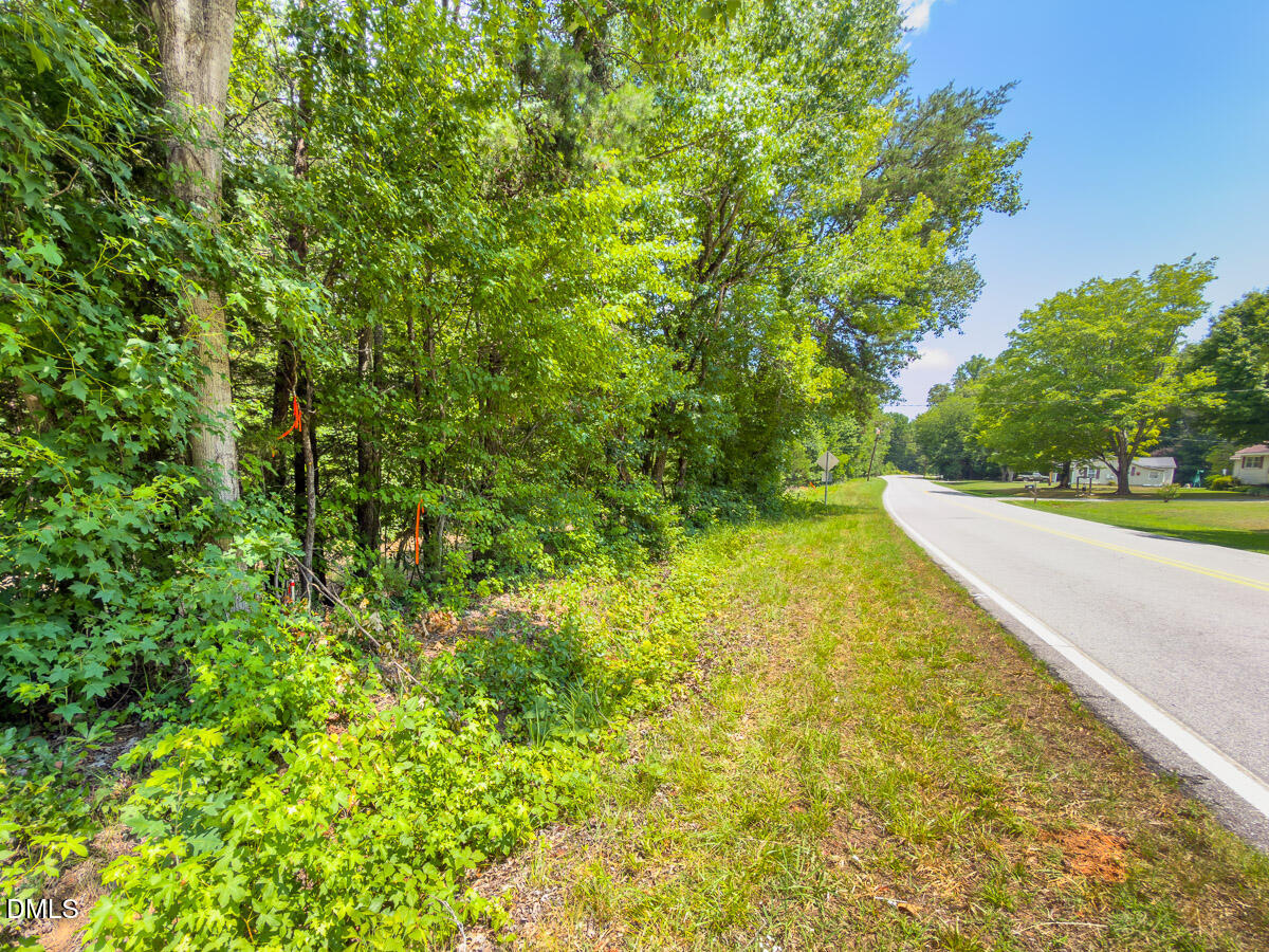 0 Park Springs Road Ruffin, NC 27326 - Photo 29 of 31 Caswell Co. NC 7.19-COA-29