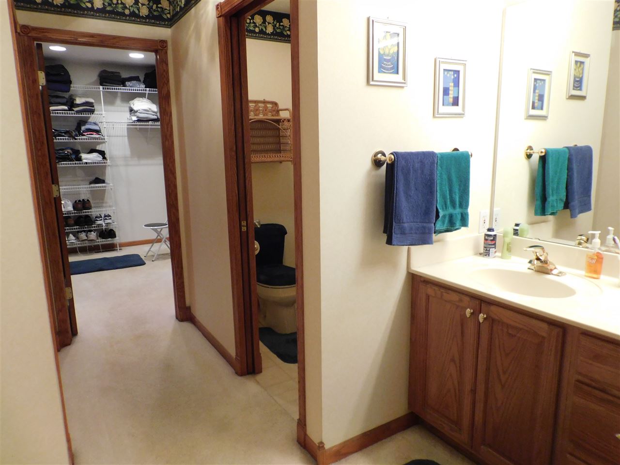 10062 Beaver Valley Road Belvidere, IL 61008 - Photo 11 of 25 a bathroom with a sink and a mirror
