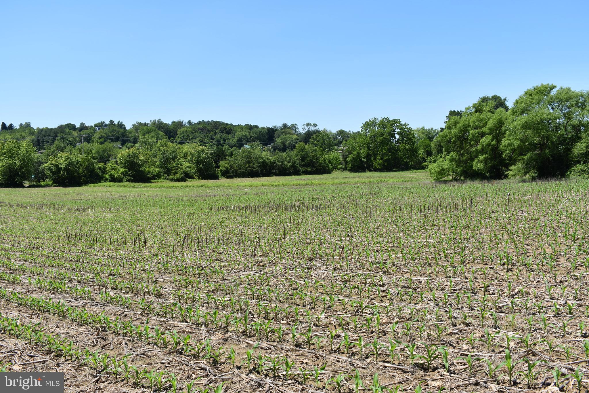15520-belfast Rd 15520-belfast Road Sparks Glencoe, MD 21152 - Photo 1 of 18 a view of field with trees in background