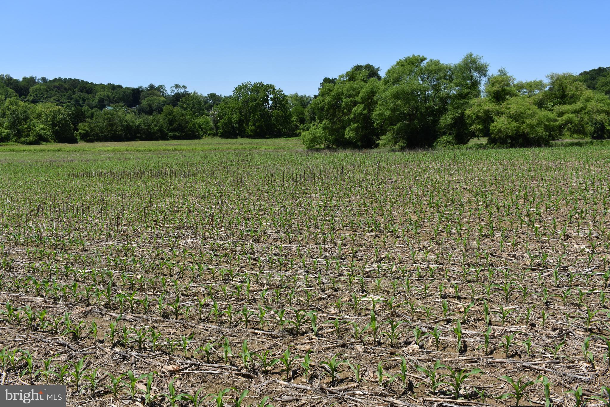 15520-belfast Rd 15520-belfast Road Sparks Glencoe, MD 21152 - Photo 6 of 18 a view of a field with a tree in the background
