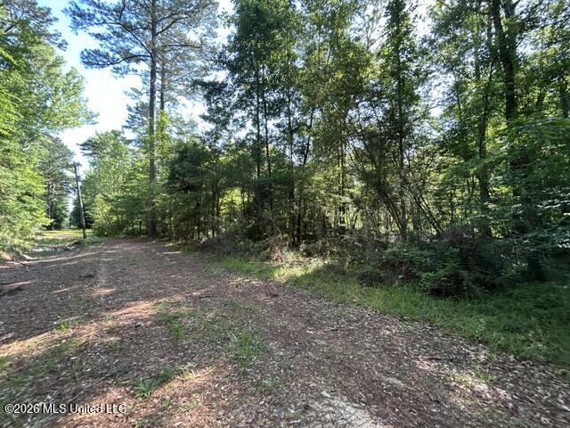 Parker Road Crosby, MS 39633 - Photo 9 of 16 IMG_4216