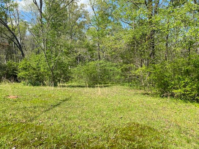 355 Rose Road Crump, TN 38327 - Photo 13 of 14 Gallery Image 13