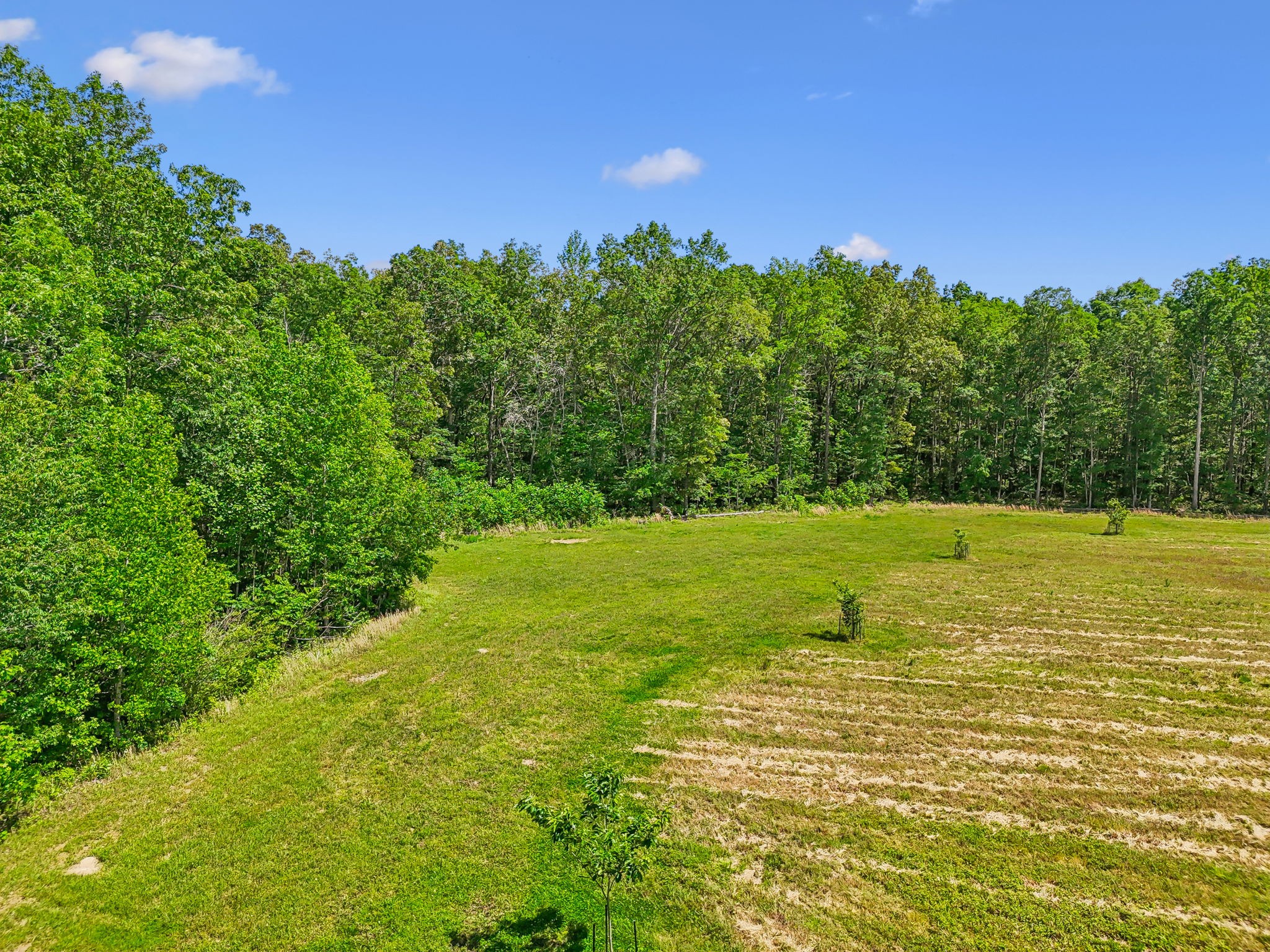 0 Espy Road Manchester, TN 37355 - Photo 12 of 35 a view of a yard with a house in the background