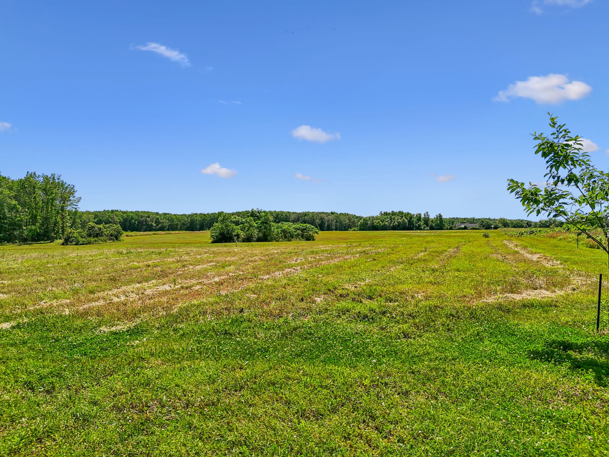 0 Espy Road Manchester, TN 37355 - Photo 13 of 35 a view of an ocean and a building