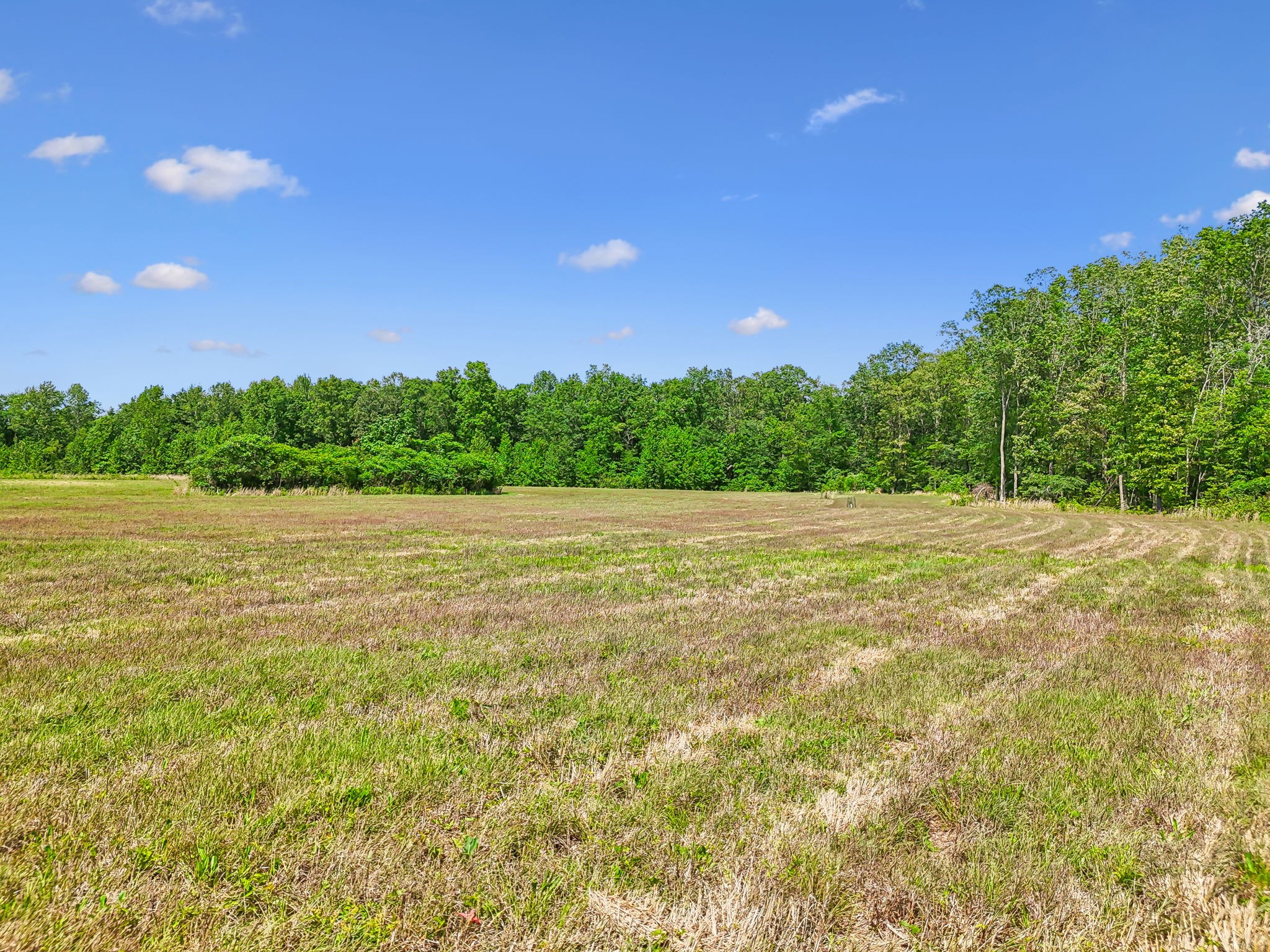 0 Espy Road Manchester, TN 37355 - Photo 14 of 35 a view of a lake from a yard