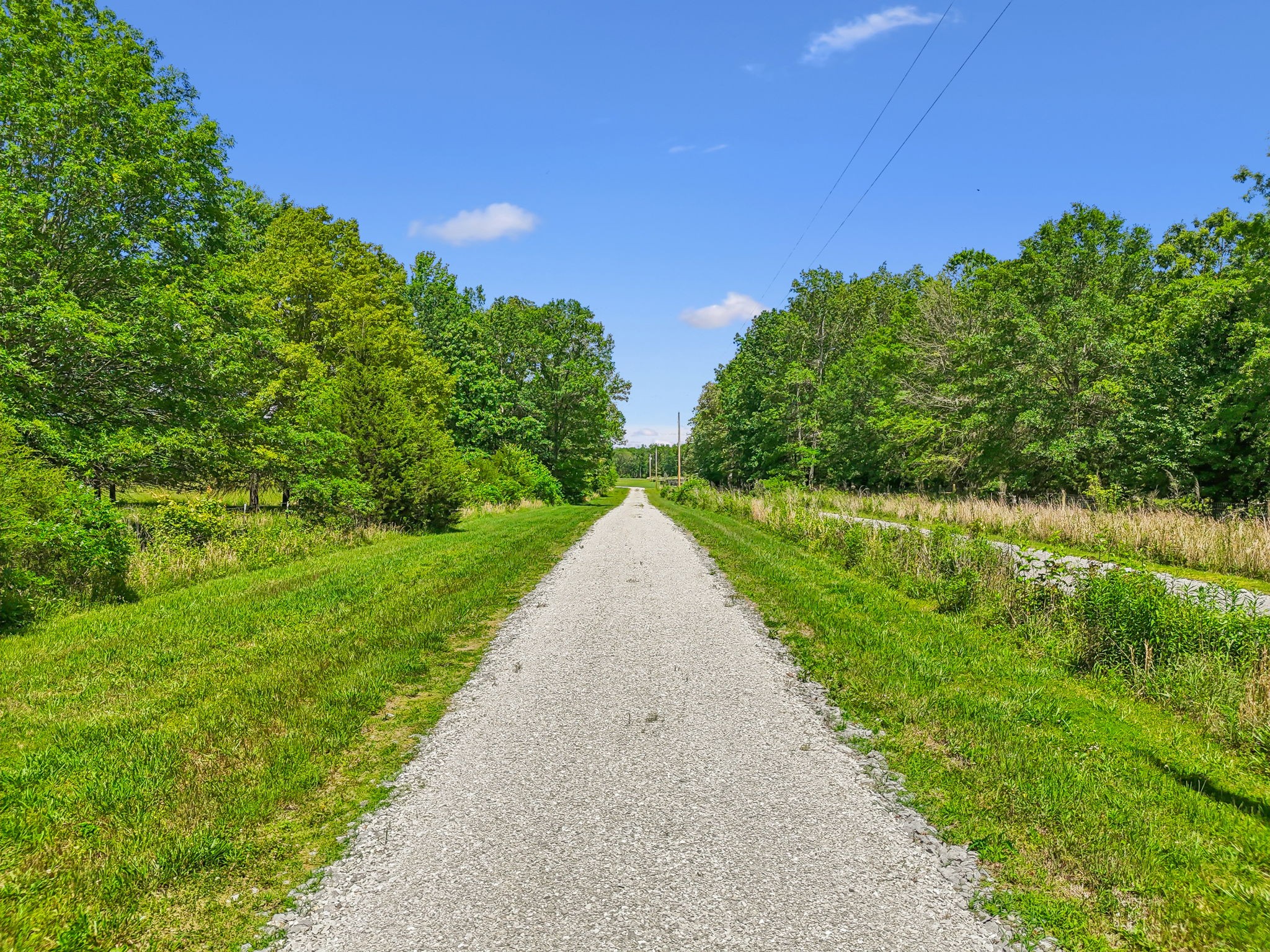 0 Espy Road Manchester, TN 37355 - Photo 2 of 35 a view of a garden with plants and large trees