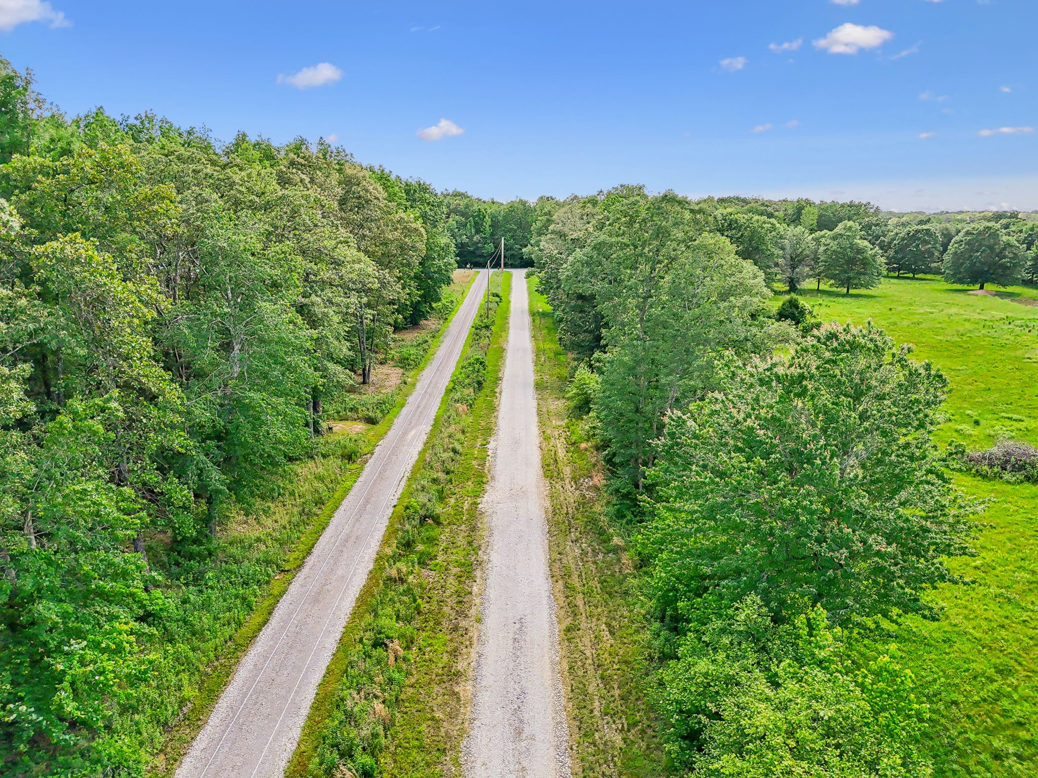 0 Espy Road Manchester, TN 37355 - Photo 32 of 35 a view of a yard with a large trees