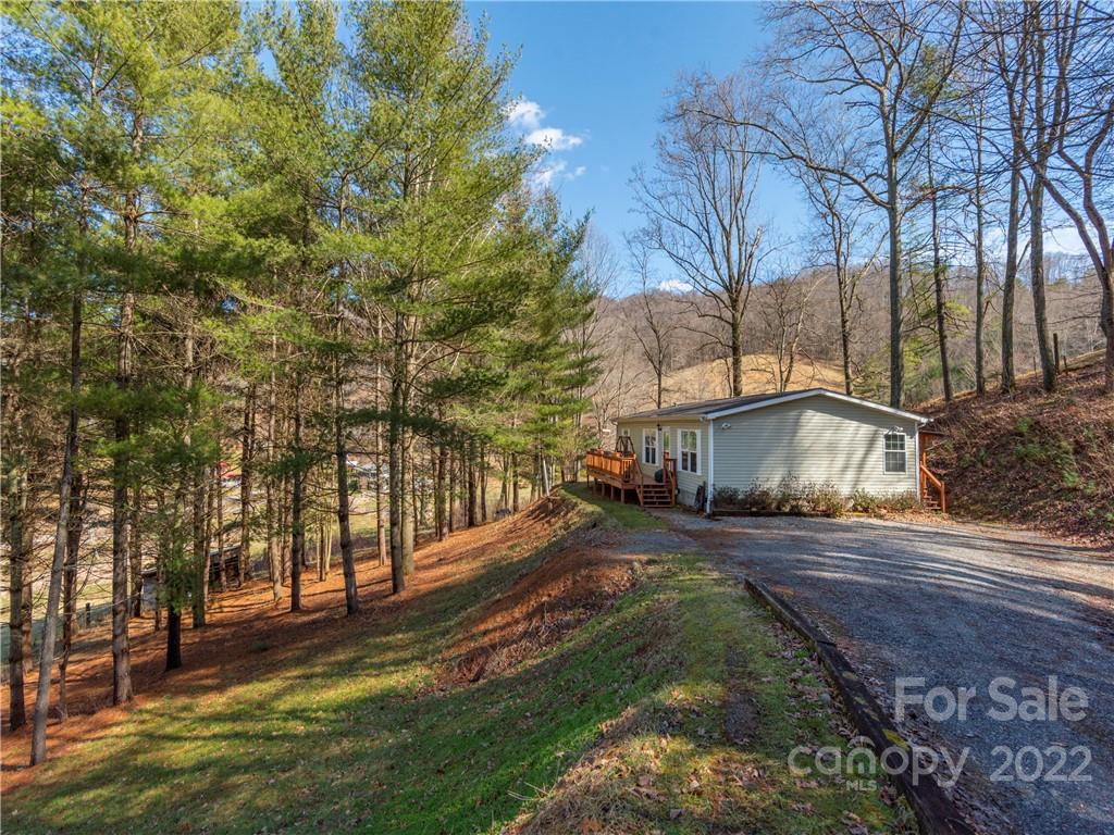 6232 Panther Creek Road Clyde, NC 28721 - Photo 17 of 25 a view of a yard with plants and trees