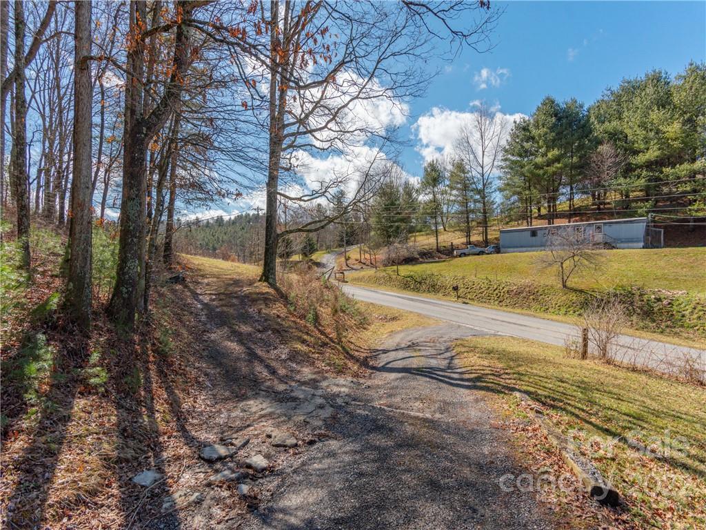6232 Panther Creek Road Clyde, NC 28721 - Photo 21 of 25 a view of a yard with tree s