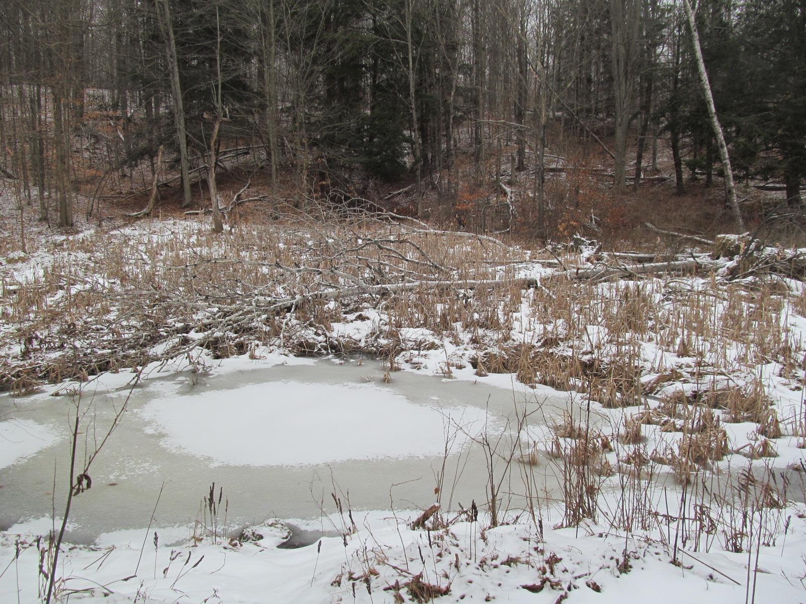 10-acres North 23 Road Mesick, MI 49668 - Photo 17 of 18