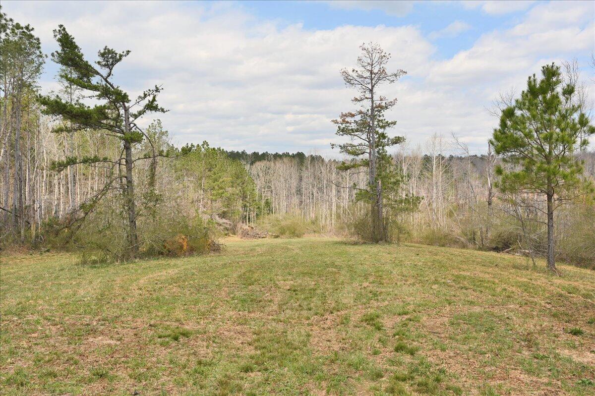 0 Co Road Vinemont, AL 35179 - Photo 9 of 28 Gallery Image 9