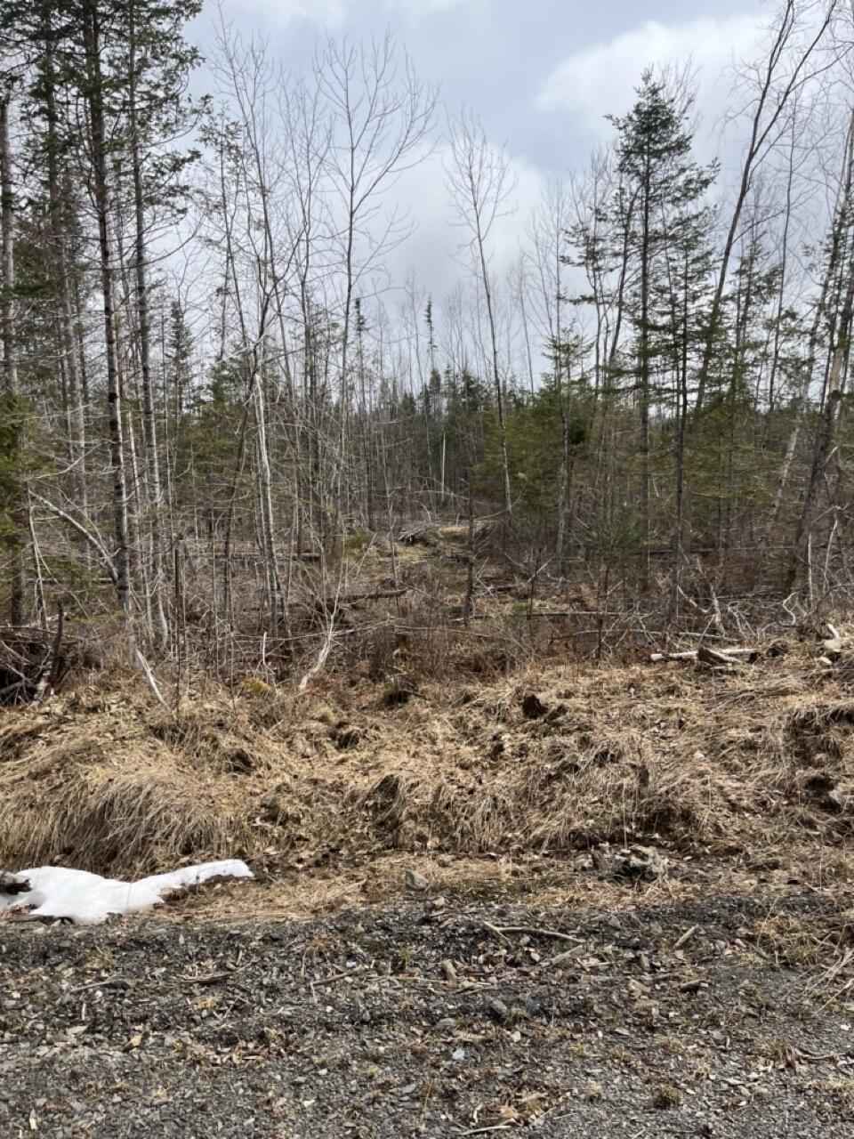 33 Rt 6 Highway Carroll Plt, ME 04487 - Photo 8 of 10