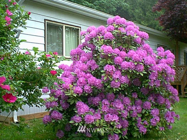 3561 Sorenson Road Everson, WA 98247 - Photo 12 of 22