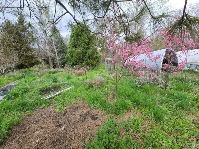 $170,000 | 25428 Mendocino Pass Road, Covelo, CA 95428