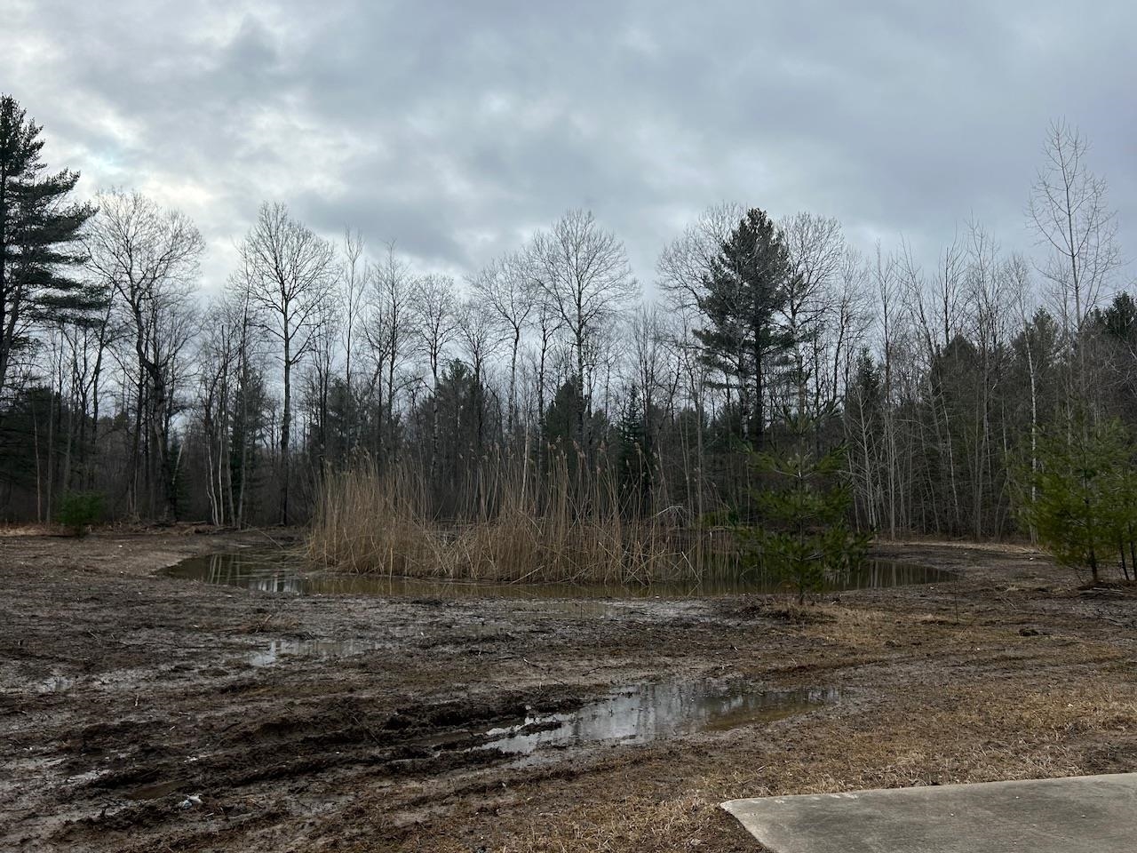 19.2 Acres W M61 Road Gladwin, MI 48624 - Photo 5 of 17