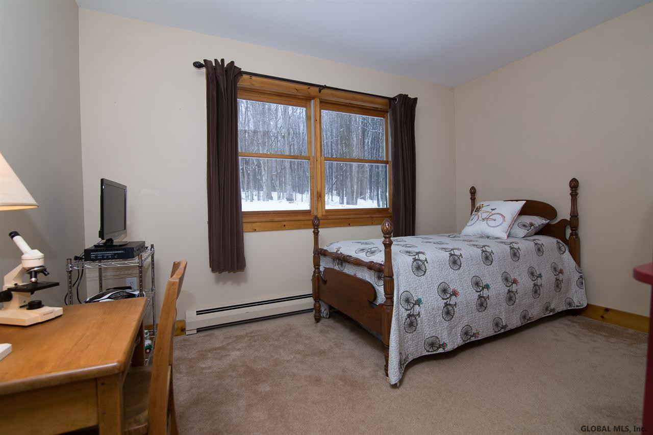 398 Carney Cassidy Road Salem, NY 12865 - Photo 22 of 25 Photo 22