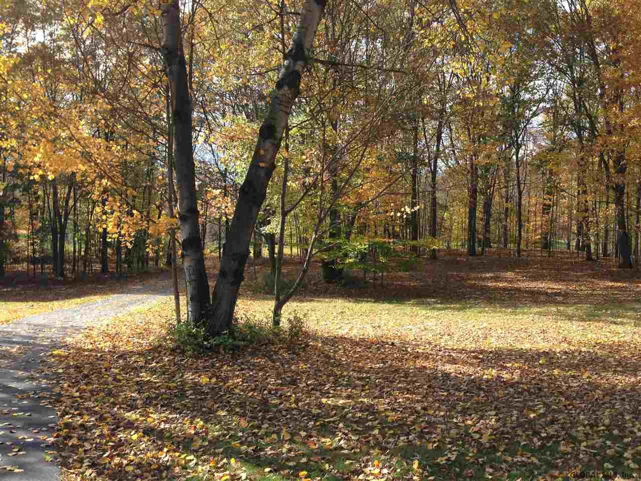 398 Carney Cassidy Road Salem, NY 12865 - Photo 4 of 25 Photo 4