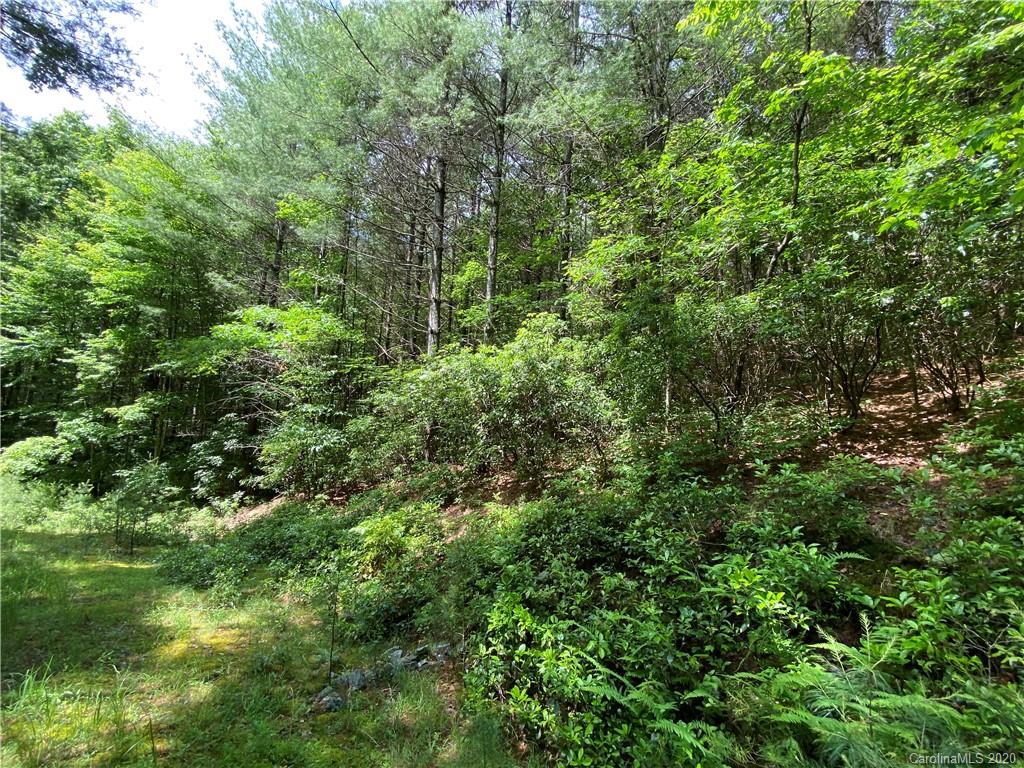 625 Old Powell Road Brevard, NC 28712 - Photo 17 of 17 Gallery Image 17