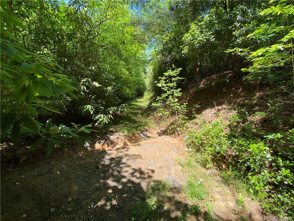625 Old Powell Road Brevard, NC 28712 - Photo 4 of 17 Gallery Image 4
