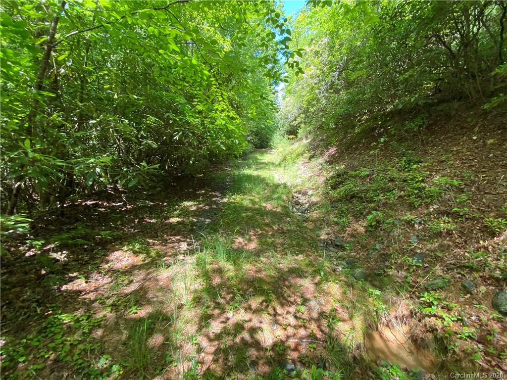 625 Old Powell Road Brevard, NC 28712 - Photo 5 of 17 Gallery Image 5