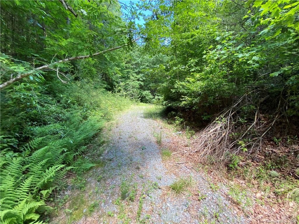 625 Old Powell Road Brevard, NC 28712 - Photo 6 of 17 Gallery Image 6