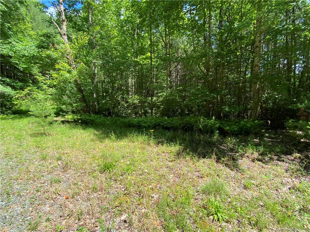 625 Old Powell Road Brevard, NC 28712 - Photo 7 of 17 Gallery Image 7