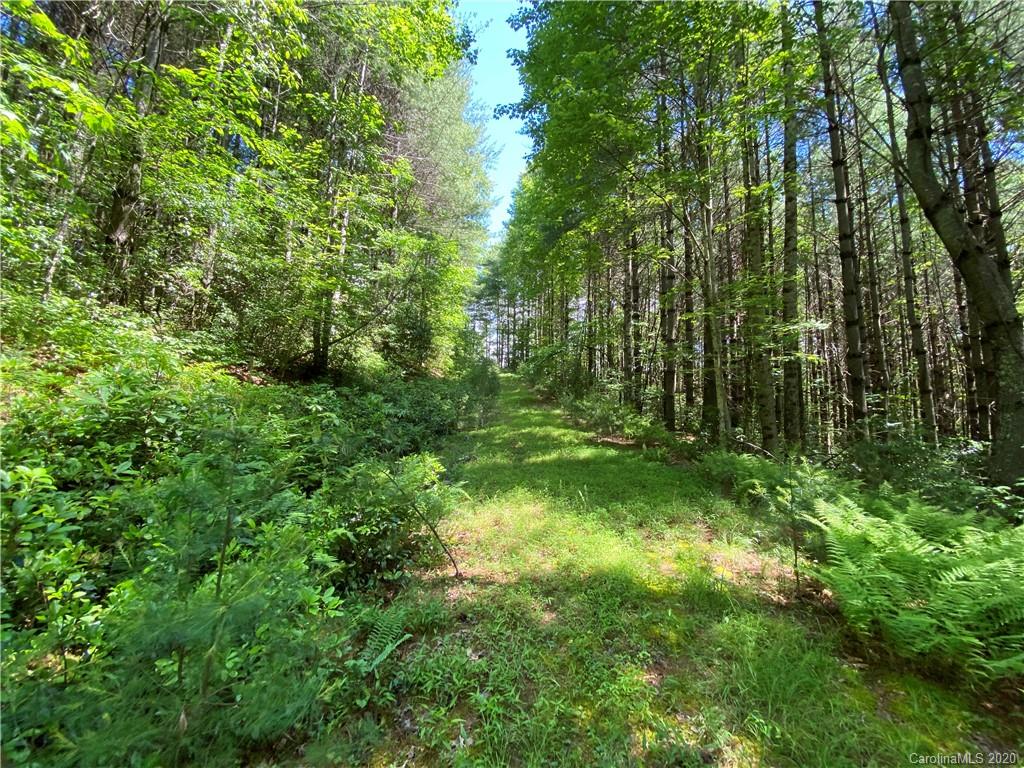625 Old Powell Road Brevard, NC 28712 - Photo 9 of 17 Gallery Image 9
