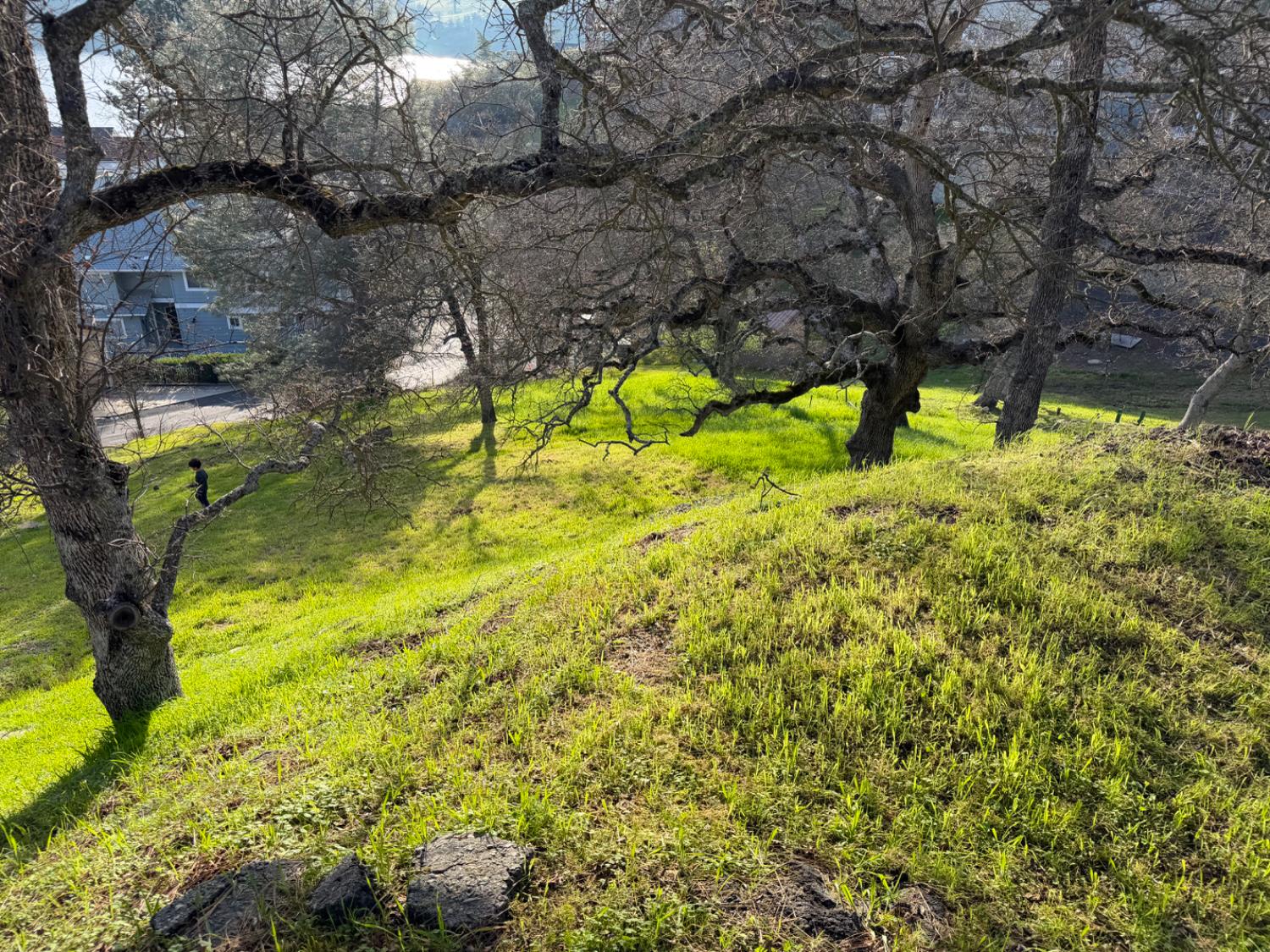 257 Thomson Lane Copperopolis, CA 95228 - Photo 2 of 12