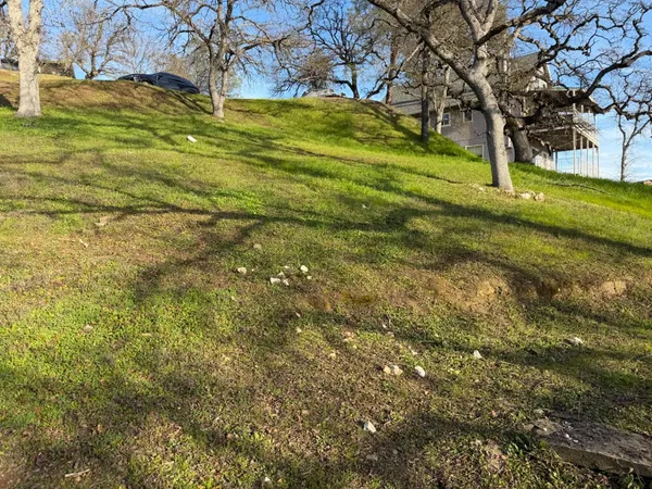 a view of a yard with a tree