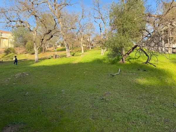 a view of yard with green space