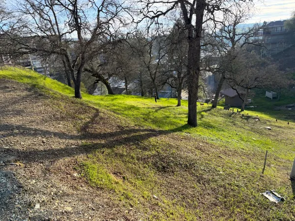 a view of a yard with swimming pool
