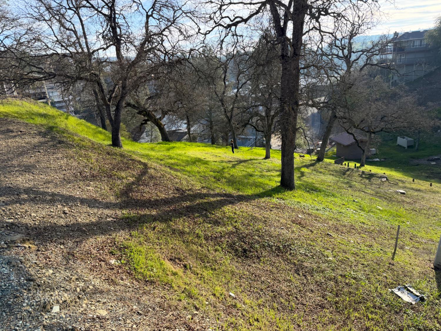 257 Thomson Lane Copperopolis, CA 95228 - Photo 7 of 12