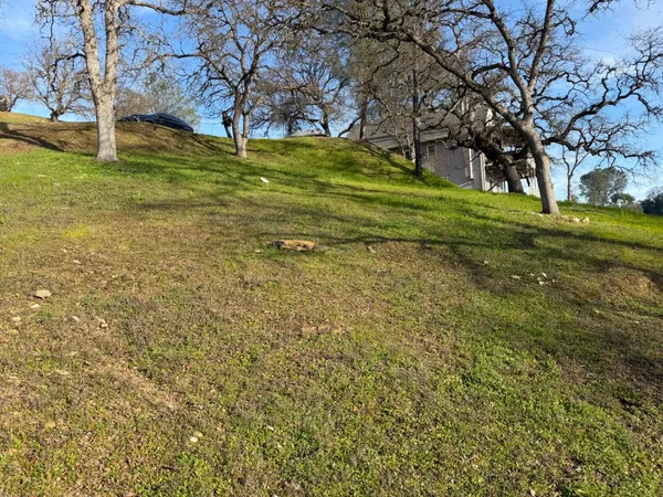 a view of yard with trees