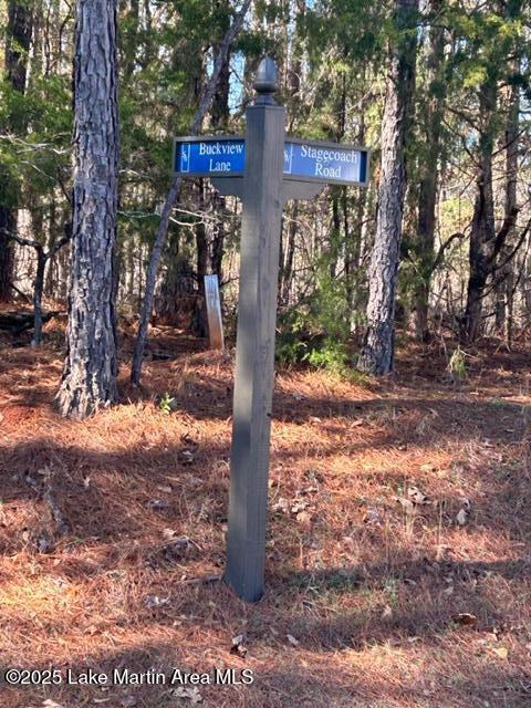 Lot 1 Stagecoach Road Dadeville, AL 36853 - Photo 1 of 1 IMG_4301