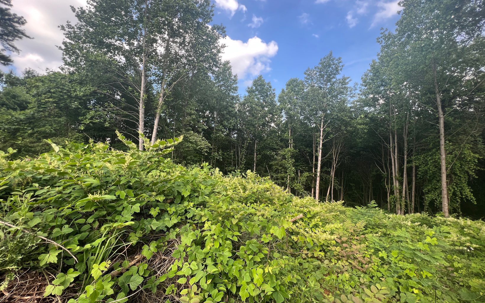 1.2-lot Cole Road Copperhill, TN 37317 - Photo 25 of 37 Additional View