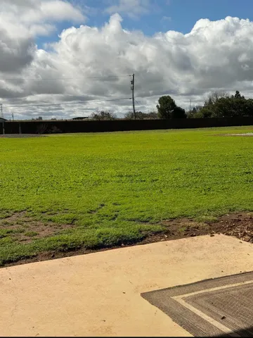a view of a yard with street view
