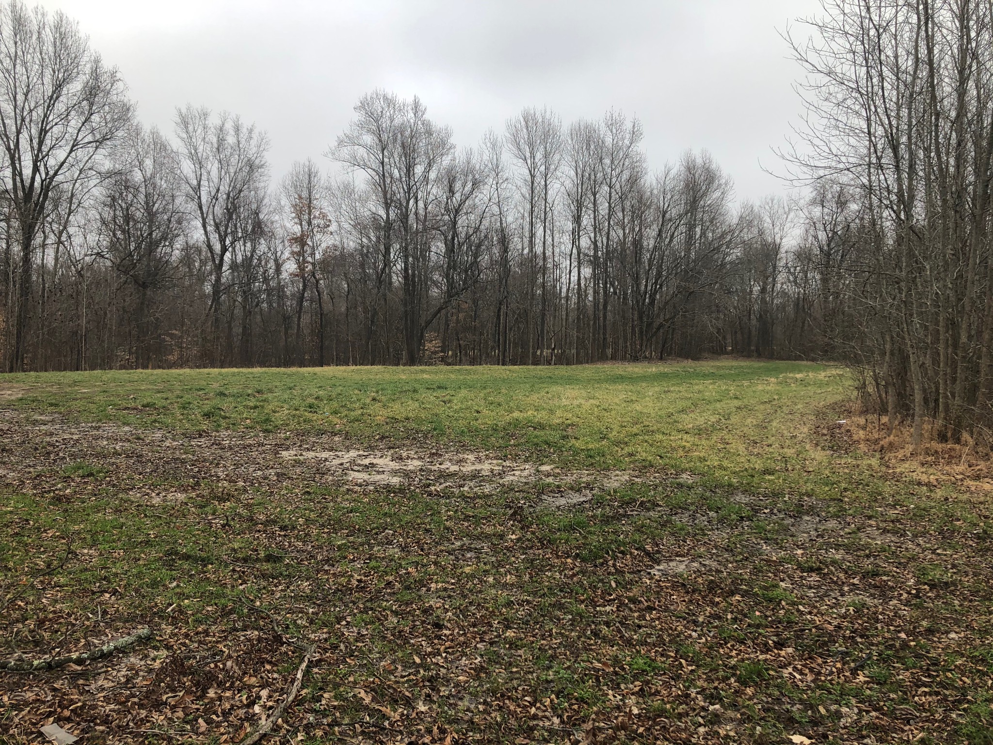 2042 Central Curve Road Ripley, TN 38063 - Photo 1 of 4