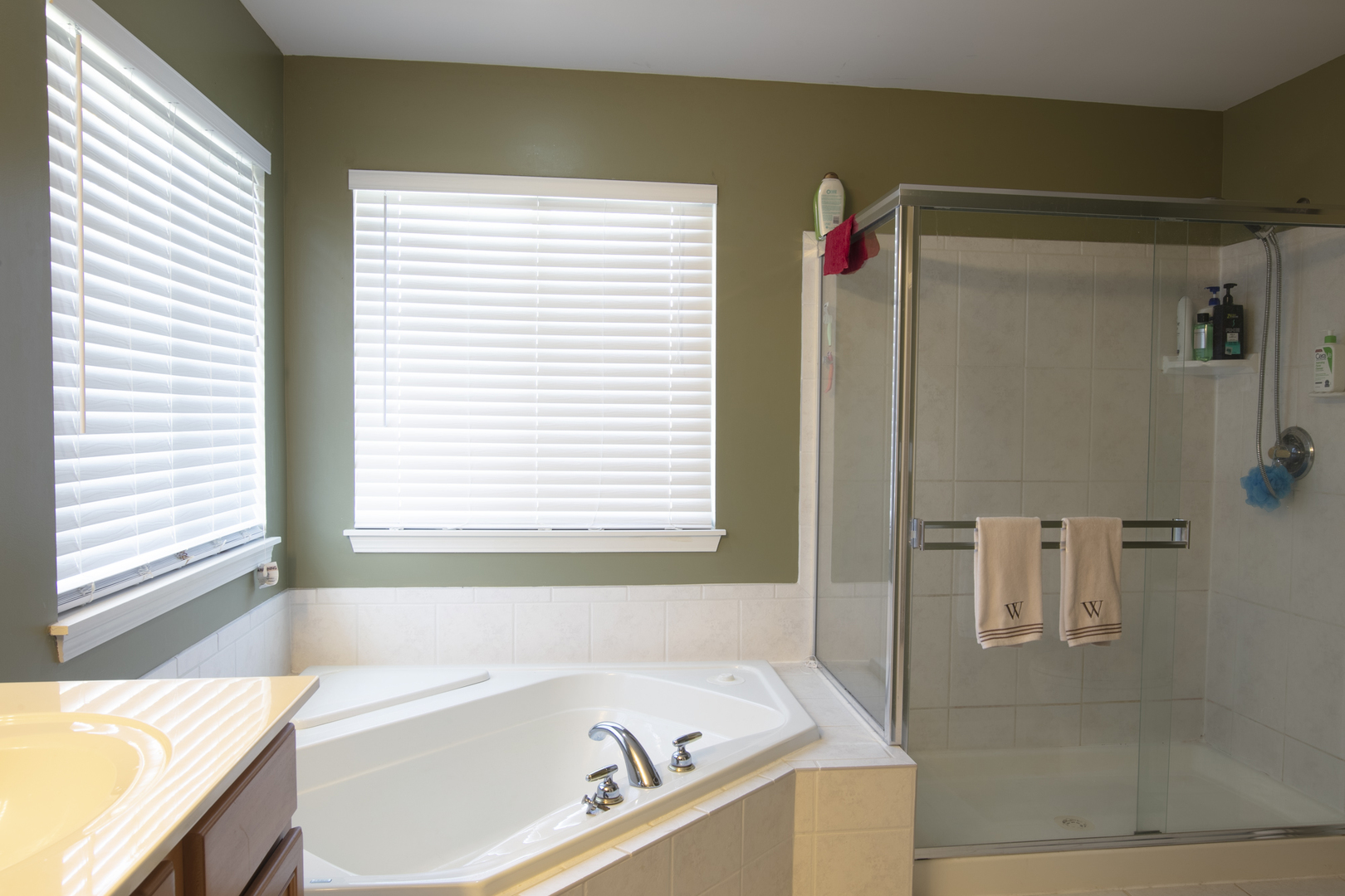 768 North Overlook Trail Round Lake, IL 60073 - Photo 26 of 34 a bathroom with a bathtub and a shower